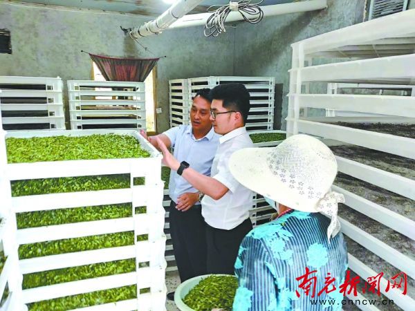 产业鼓起农民钱袋子,产业带动就业促进群众增收