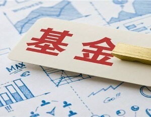 泉果基金厉害之处,泉果基金在哪个机构发售