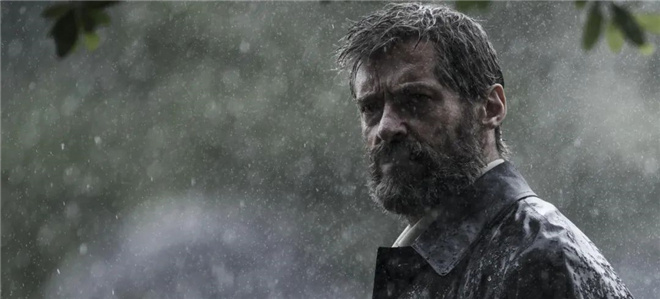 叶问5电影甄子丹和张天志对打,叶问5最新消息