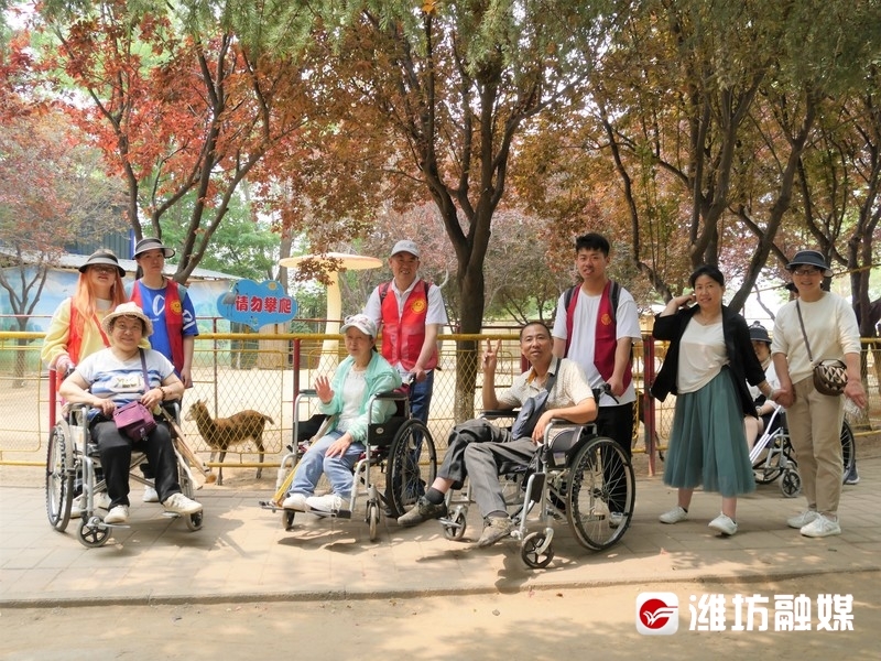 金宝乐园免费游戏项目,金宝乐园2023年夜场游玩攻略