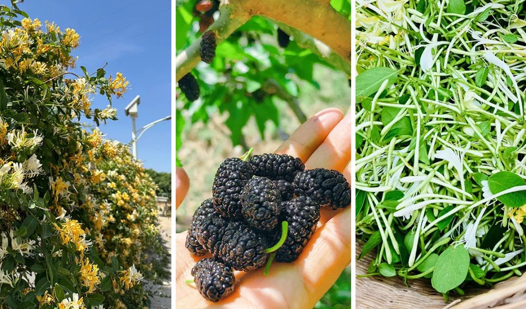 房山值得去玩的地方,房山周末适合去哪里玩