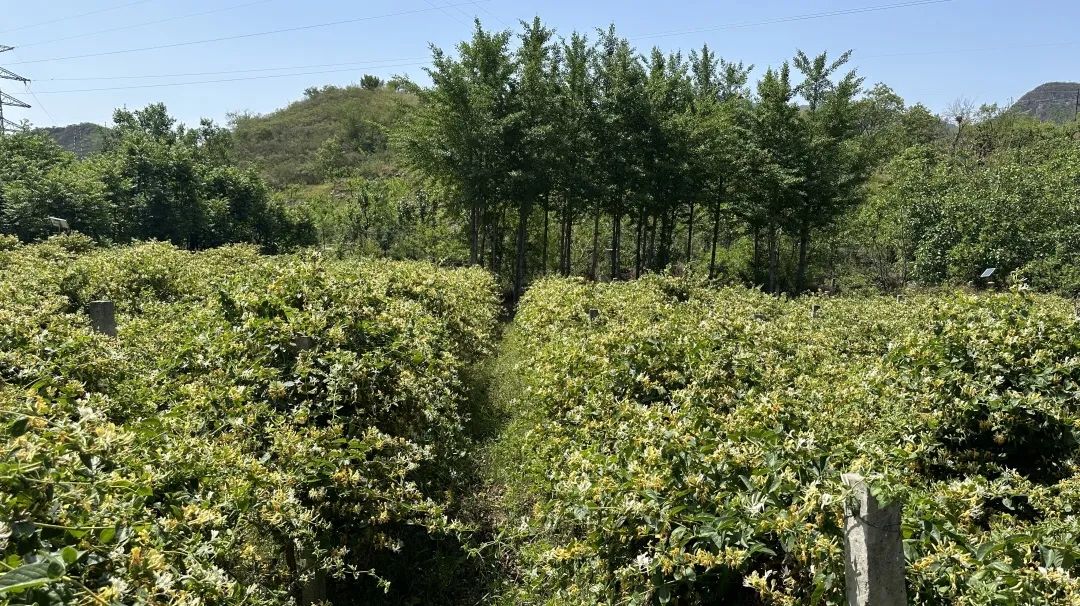 房山值得去玩的地方,房山周末适合去哪里玩