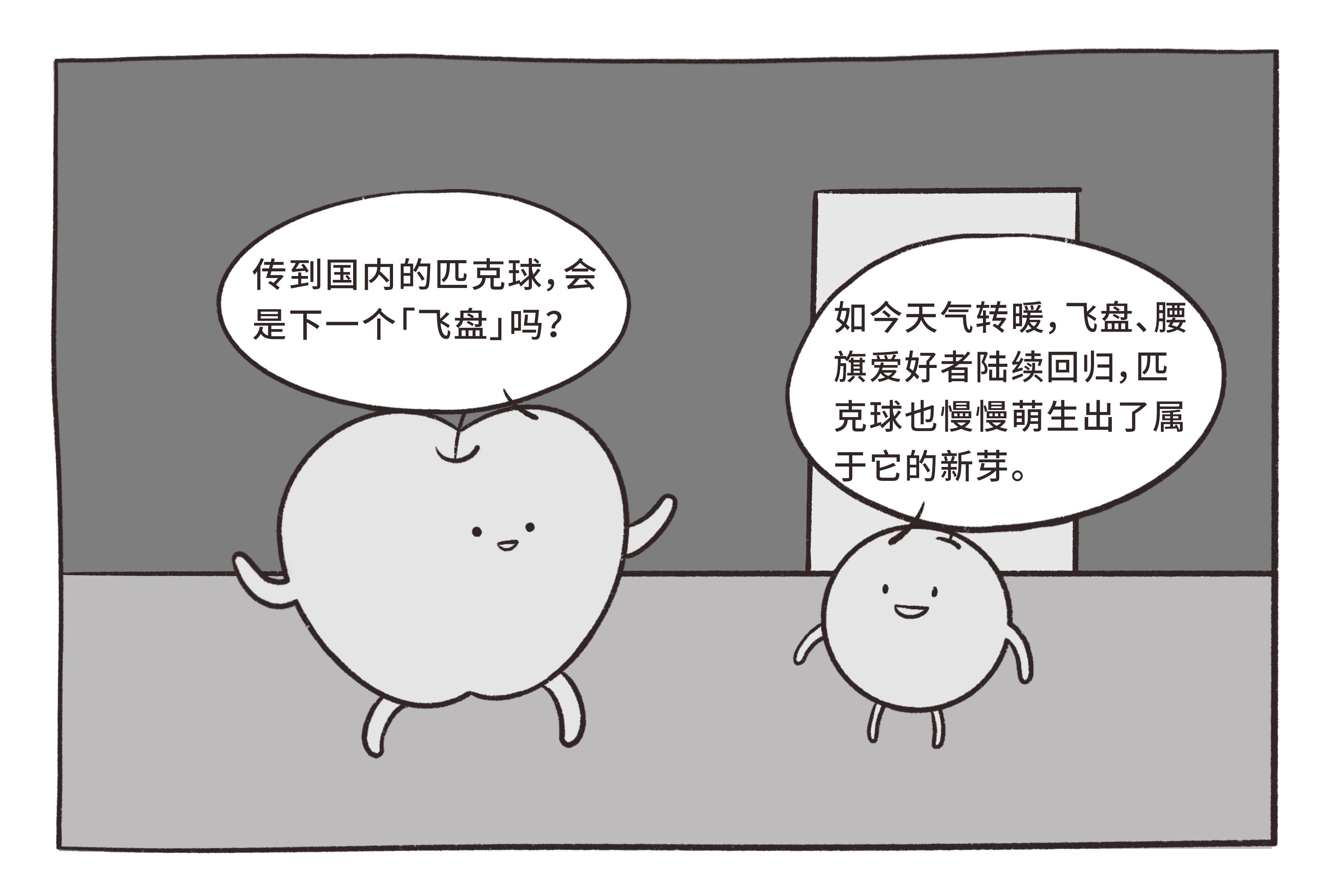 匹克球的基本打法,匹克球进阶技巧