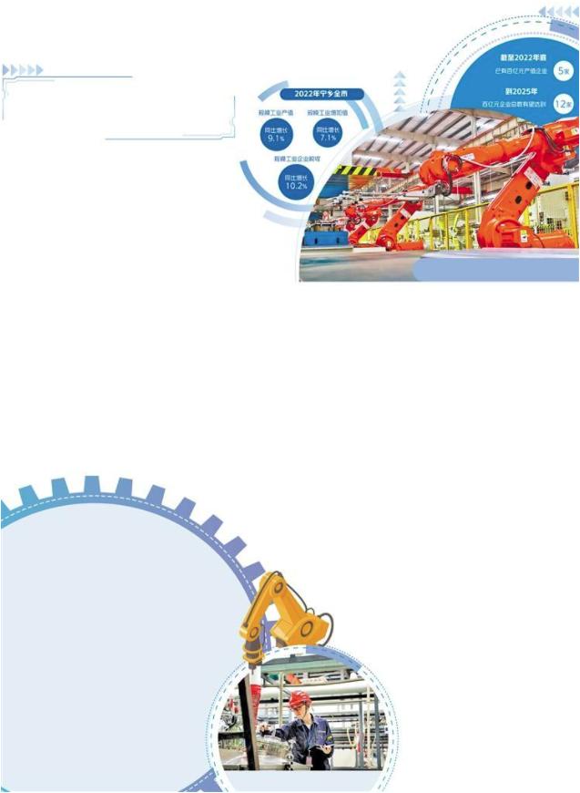 宁乡产值百亿企业,宁乡为何“盛产”百亿级企业