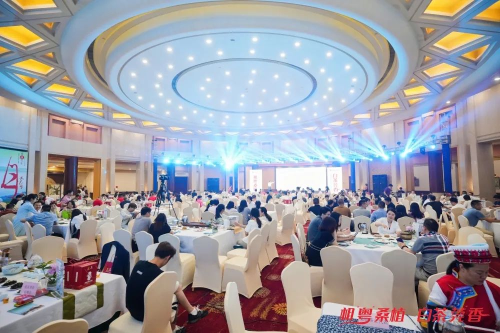 东莞藏茶之都值得收藏的十款茶,藏茶之都茶叶