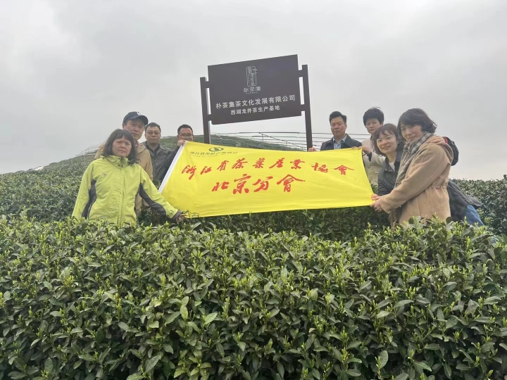 繁茂的藤蔓⑤：跟上时代，从浙商选择看马连道未来