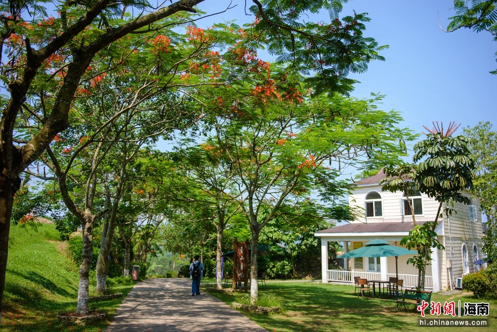 屯昌梦幻香山公园,屯昌梦幻香山文化园
