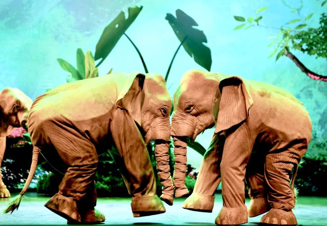 如何创作儿童剧,儿童剧创作与表演