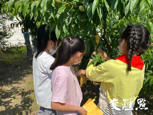 这个六一充满了惊喜,这个六一