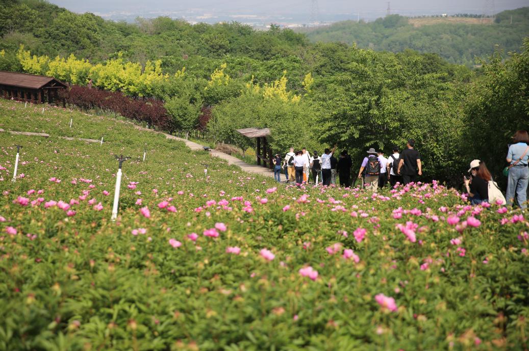 大连东沟石河村,大连市乡村振兴示范村石河村