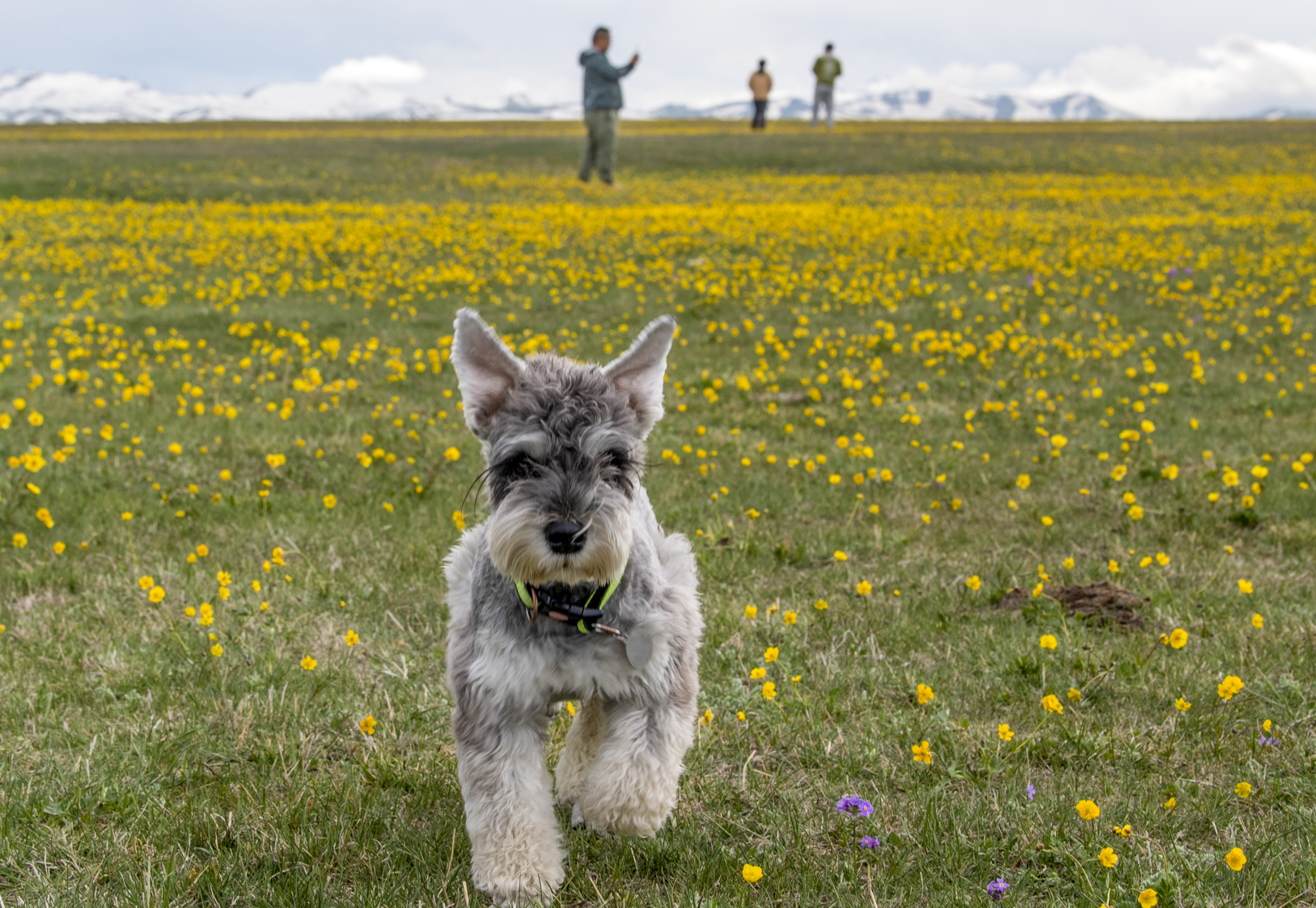 （社会）*疆新**：多彩夏日迎宾朋