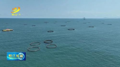 镇村书记谈百千万丨沙扒：以实施“百千万工程”为契机谱写中心镇高质量发展新篇章