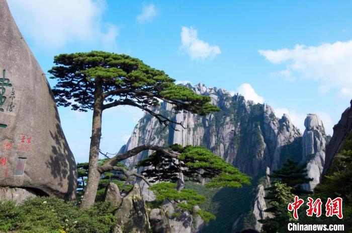 文旅一体化长三角,长三角文旅产业一体化