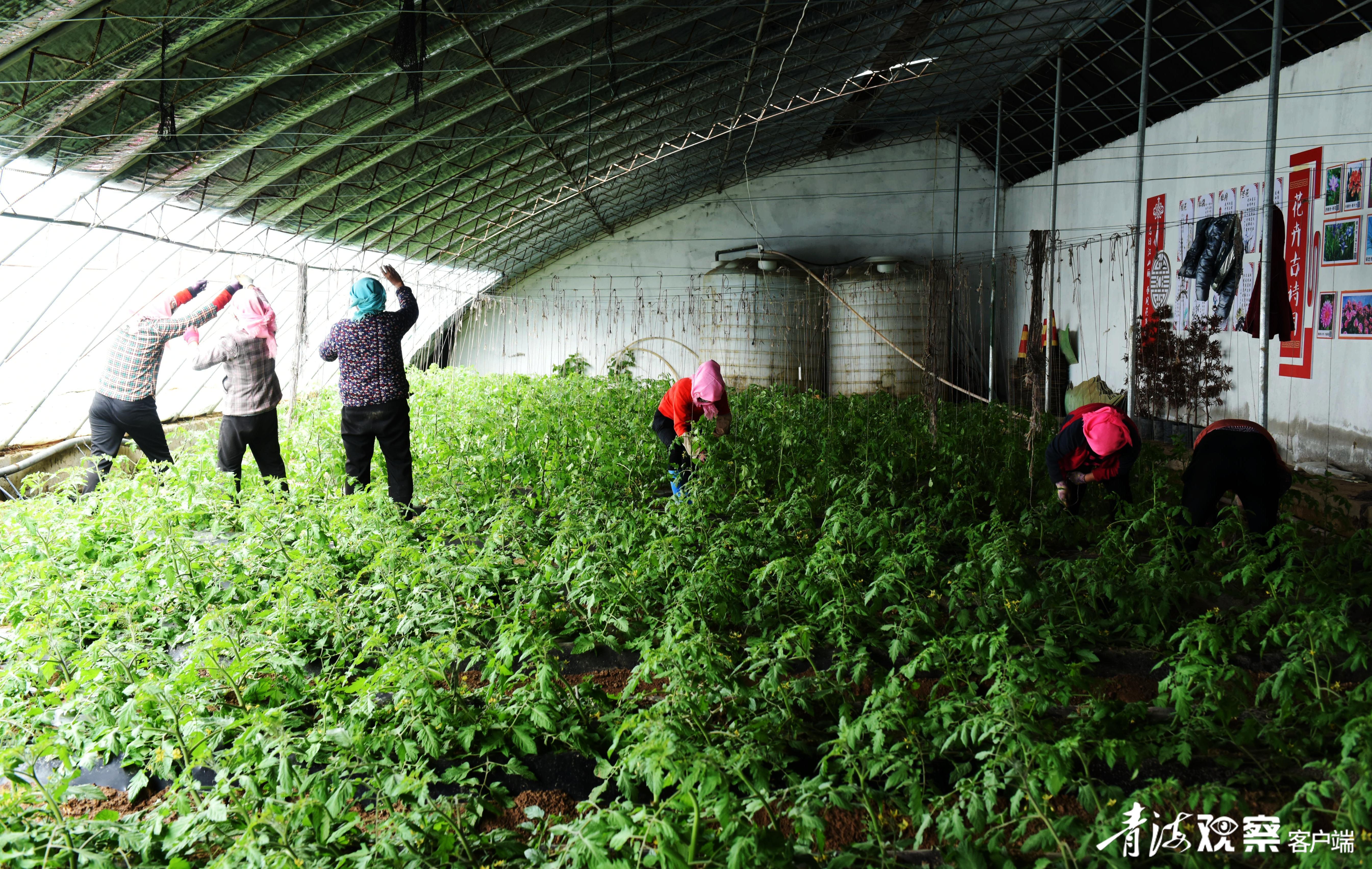 班彦:由“有”到“优”,幸福升级