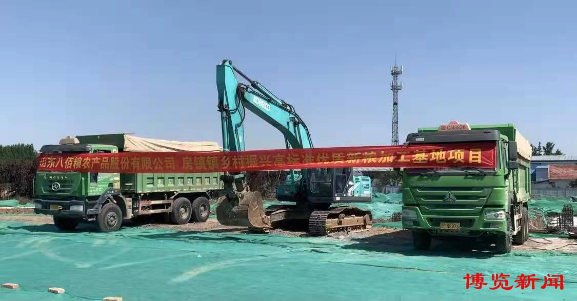 金安区张店镇美丽乡村建设,张店区建设项目美丽乡村名单