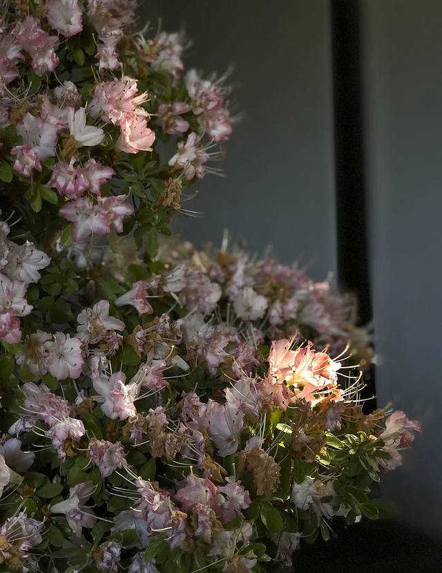 上海之根松江原本的样子,上海之根松江图片