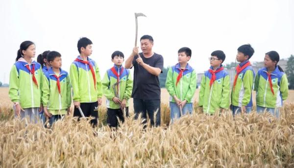 90年代农民进城打工大军,加入收割麦子的大军