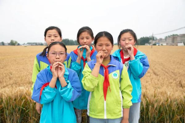 收麦子农民工干活,种地少年收小麦