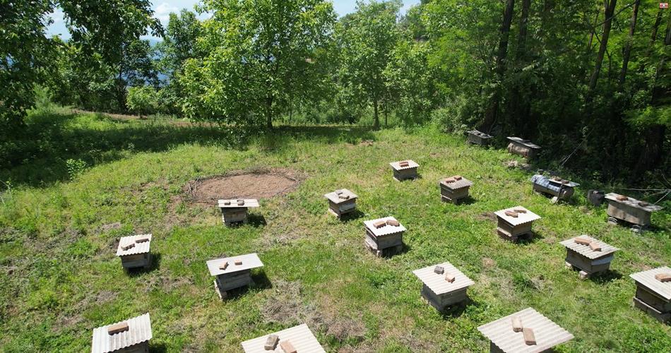 促进乡村特色产业高质量发展,清水县发展产业