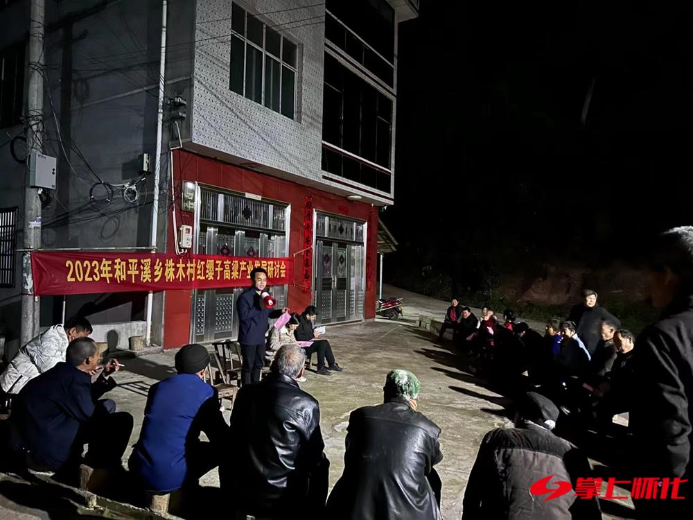 湖南沅陵县金点子,金点子湖南