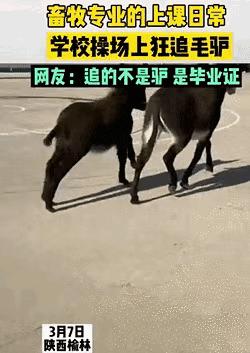 第十四届海峡论坛新闻发布会,第十五届海峡论坛大会直播