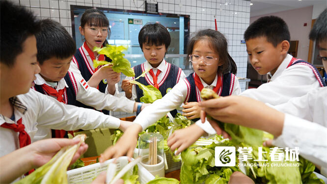 中小学劳动课乡村小学也要上吗,农村小学劳动课
