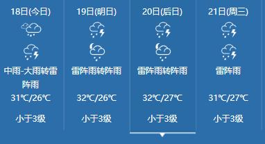 洪蓝龙舟比赛现场直播,东莞洪梅龙舟赛纪录片