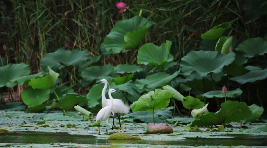 周末到河北畅游大美燕赵,周末走进河北