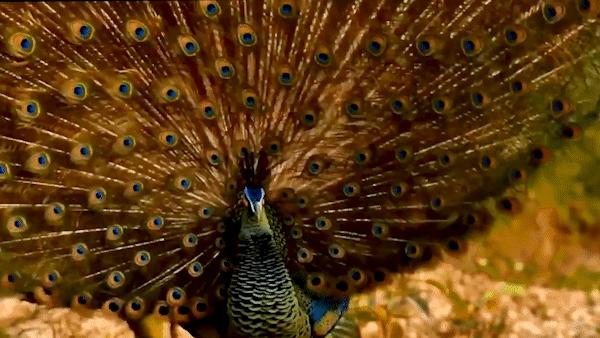 有一种叫云南的旅行,有一种旅行叫云南之旅