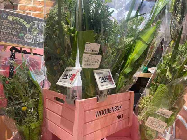 明日端午，艾草成昆明市场“顶流”！网友：我为仪式感买单！