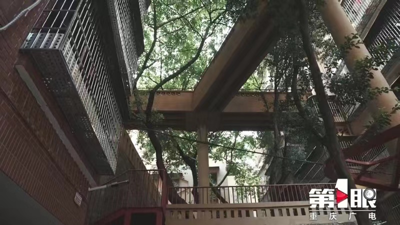 第1眼重庆广电,重庆广电第1眼直播