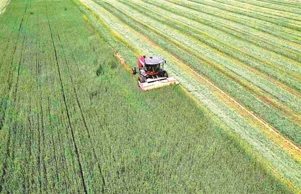 阳城县河道治理工程,阳城县后河巷河道治理