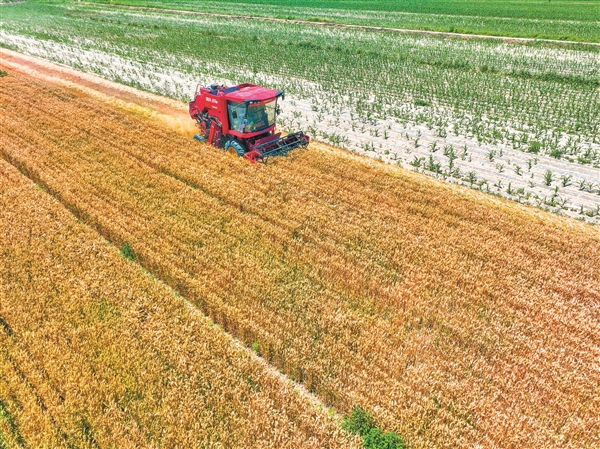 阳城县河道治理工程,阳城县后河巷河道治理