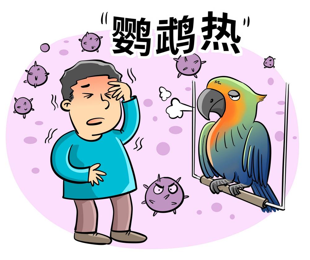 环卫工人看见喜鹊,环卫工看见死喜鹊