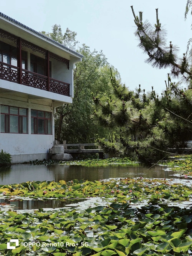 真的假的？居然有人活在了“仙境”里