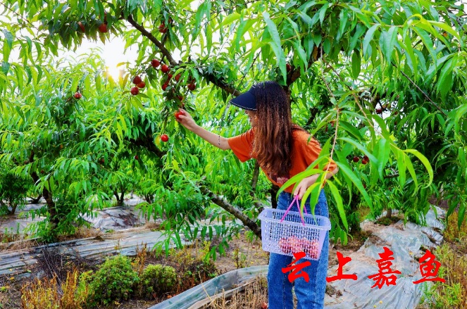 在咸宁这样玩，清凉一整个夏天