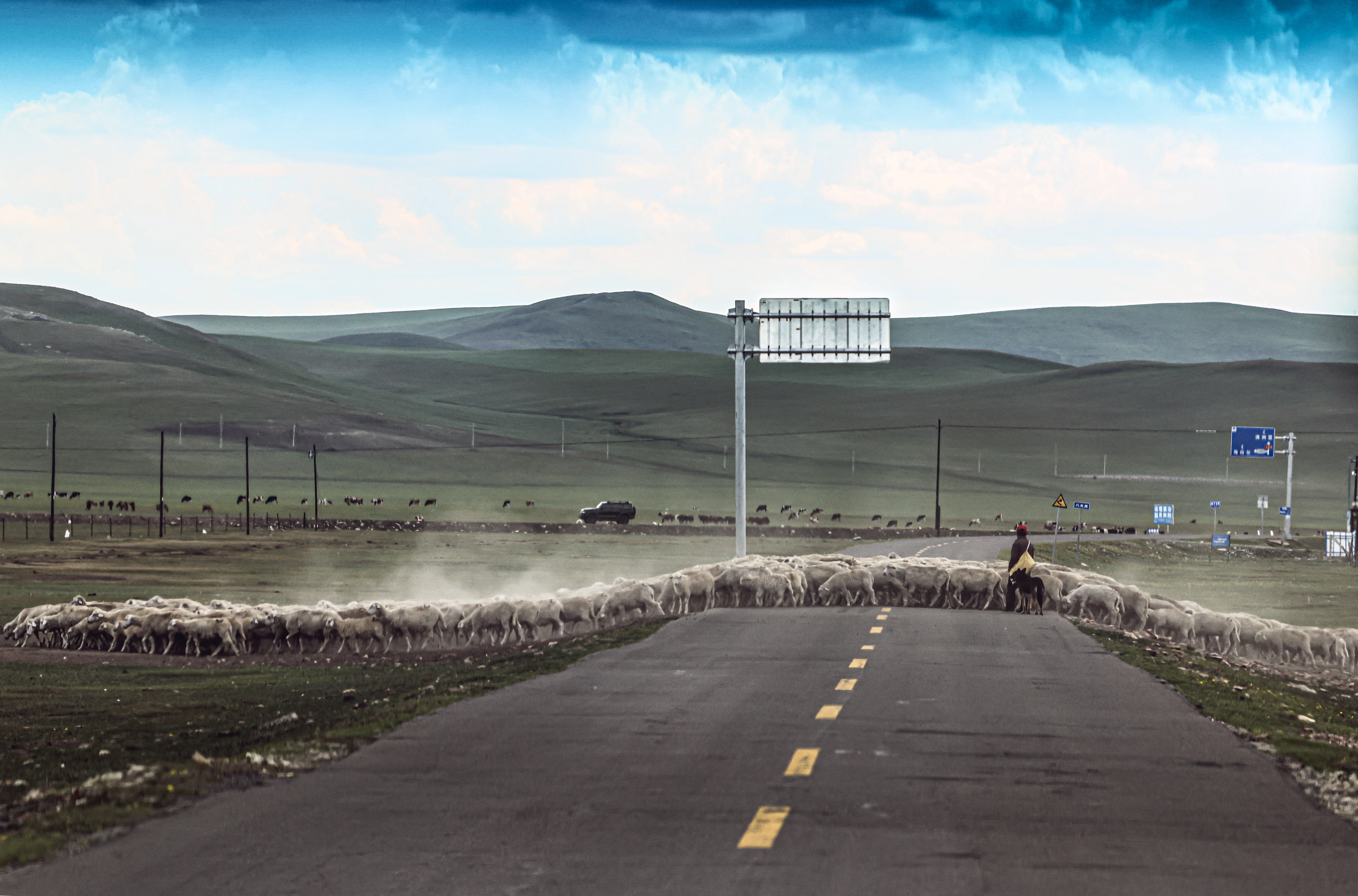 美丽中国呼伦贝尔,美丽富饶辽阔呼伦贝尔大草原