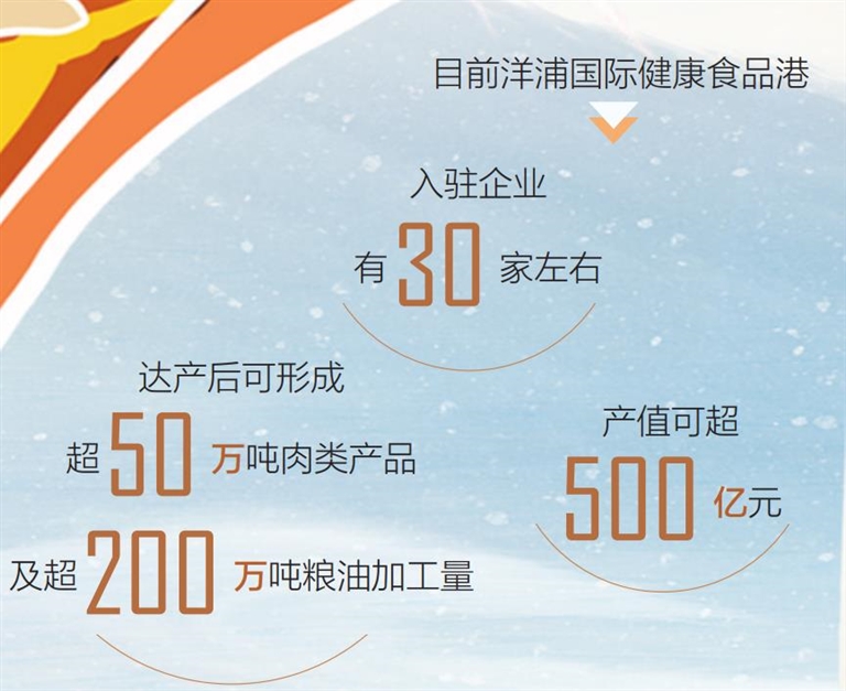 调研海南自贸港,自贸港背景下洋浦港政策优势报告