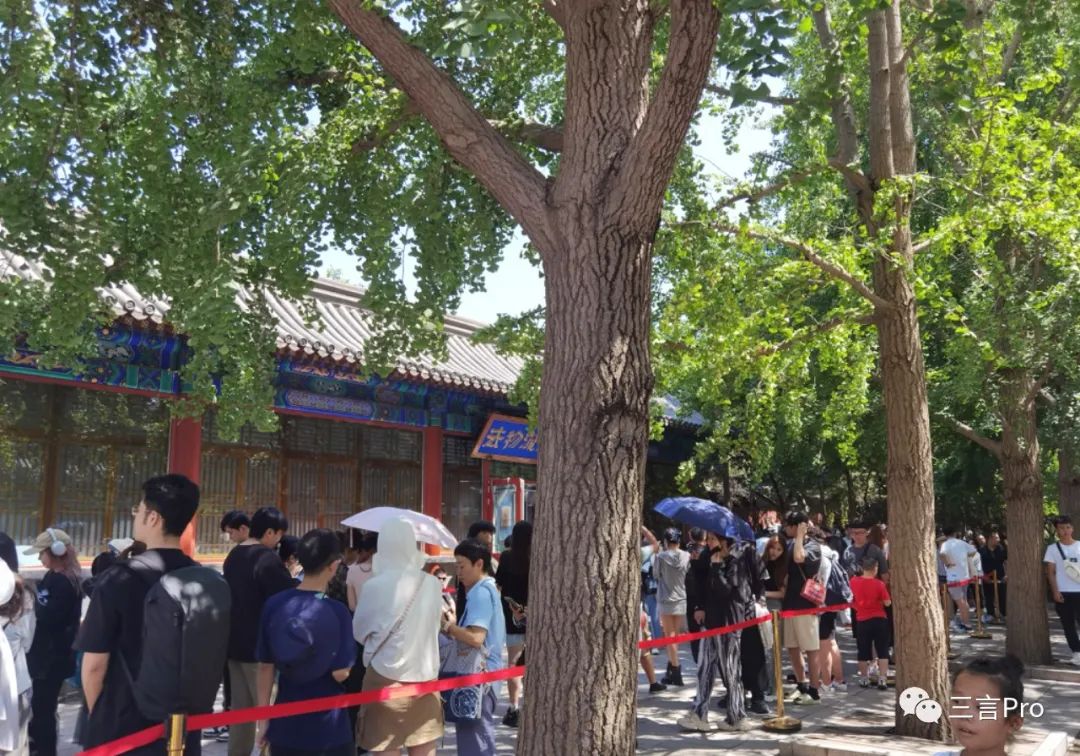 为什么年轻人也去雍和宫,为什么去雍和宫的年轻人好多