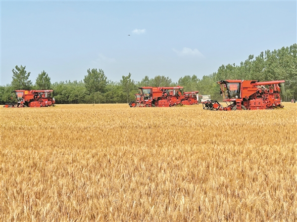 阳城县河道治理工程,阳城县后河巷河道治理