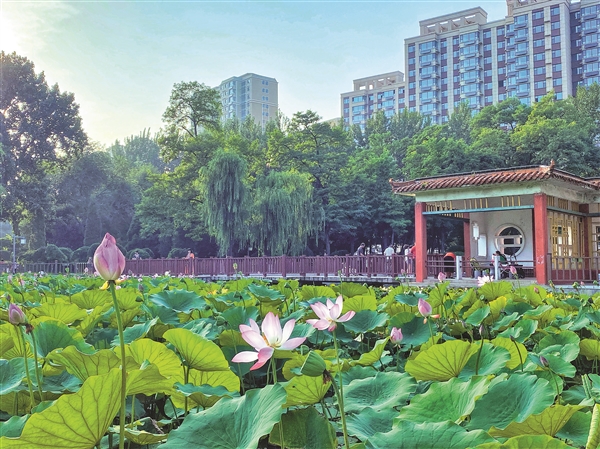 阳城县河道治理工程,阳城县后河巷河道治理