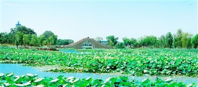 阳城县河道治理工程,阳城县后河巷河道治理