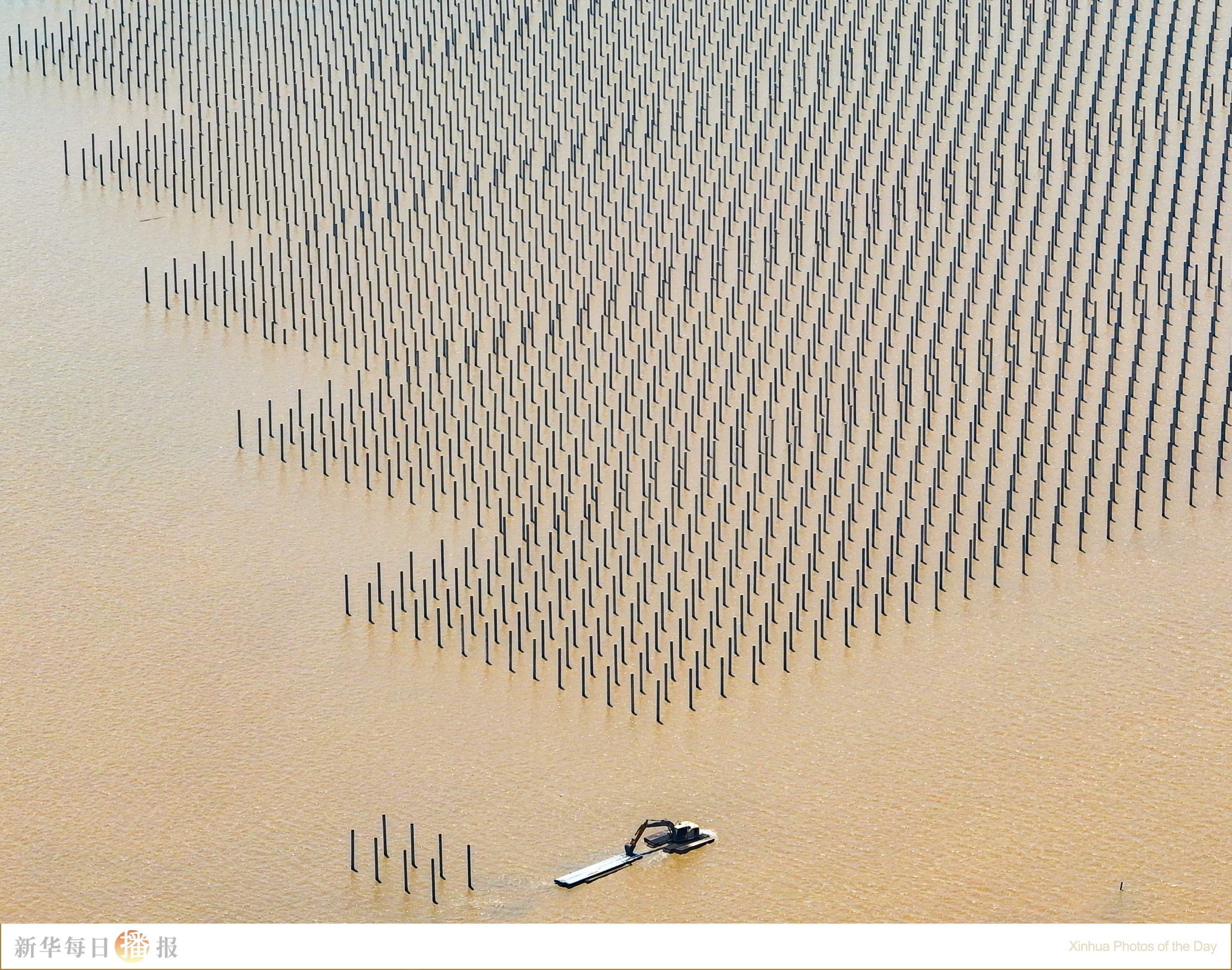 新华每日播报｜7月7日