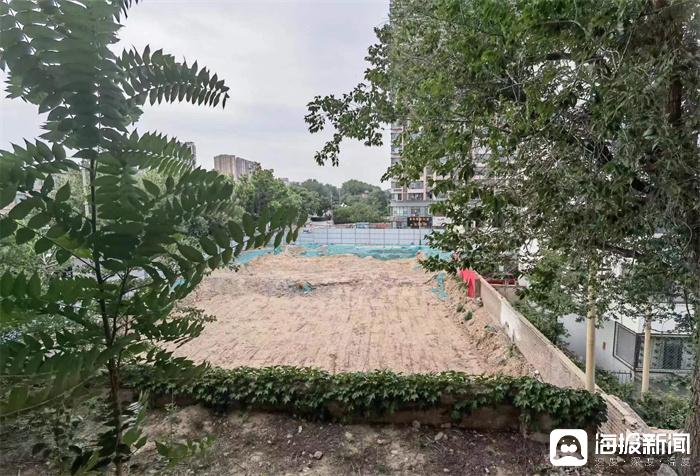 潍坊市人大代表履职,潍坊人大代表履职