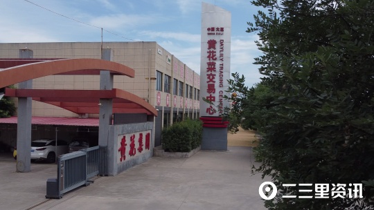 【创业100】黄花菜大产业，大荔黄花集团总经理：力争销售破亿元