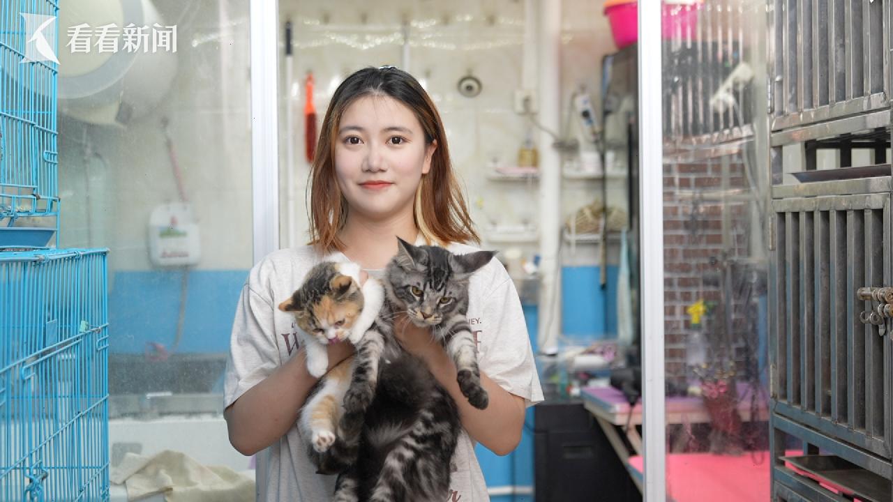 36岁裸辞创业宠物店,放弃五位数月薪90后美女开宠物店