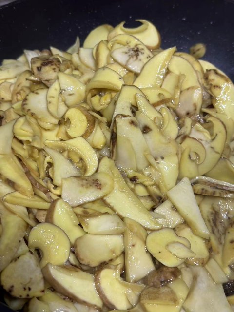 开屏策划｜上哪找菌、怎么识菌？云南捡菌“老司机”这样说→