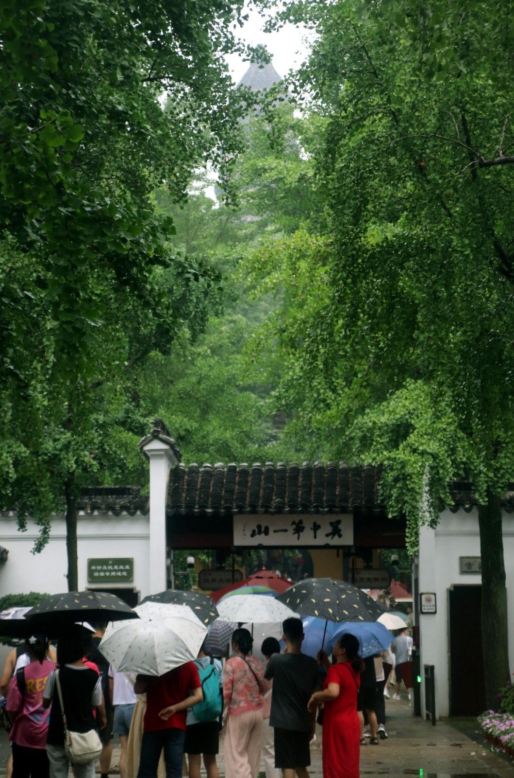 江苏苏州虎丘夜游首秀,苏州风景如诗如画