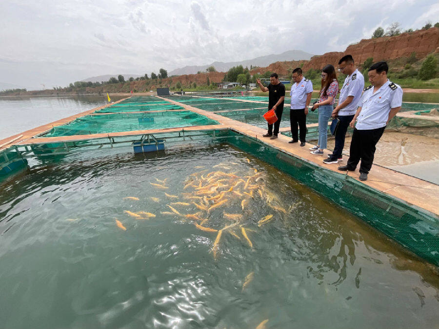 “税务蓝”浸润青海循化撒拉乡特色产业发展