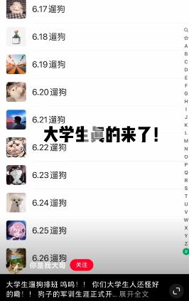 “代遛狗”成了香饽饽，有狗狗档期排到了7月中旬